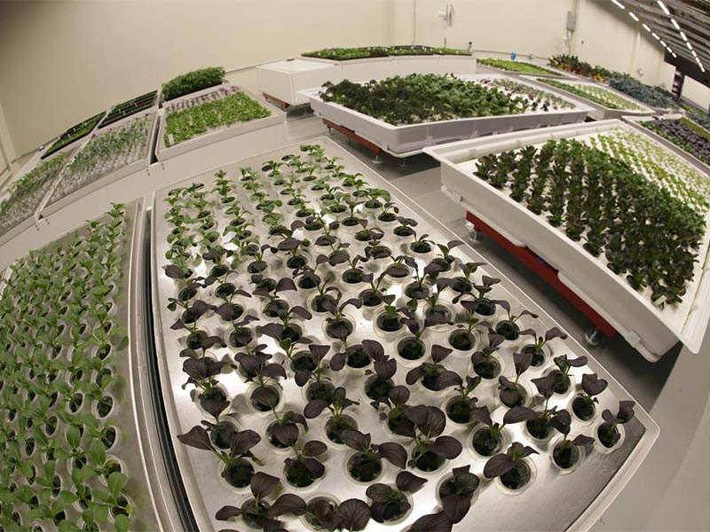 "أنجوس" المزارع الآلي... تعرف إلى قصته